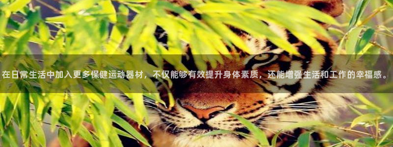 熊猫体育五金厂：在日常生活中加入更多保健运动器材，不仅能够有