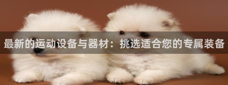 熊猫体育官网下载注册：最新的运动设备与器材：挑选适合您的专属